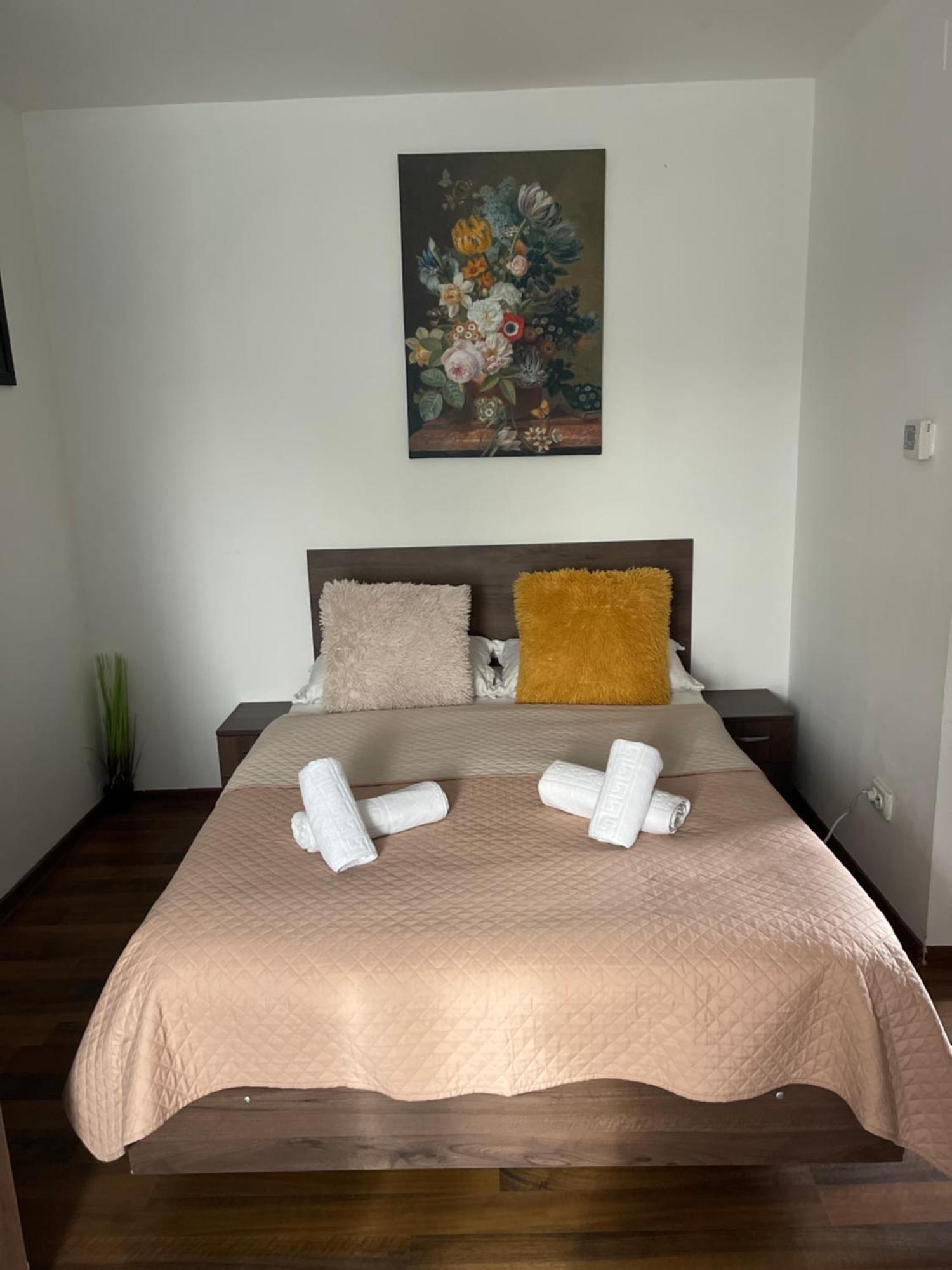 Orange House Apartment Timisoara Ngoại thất bức ảnh