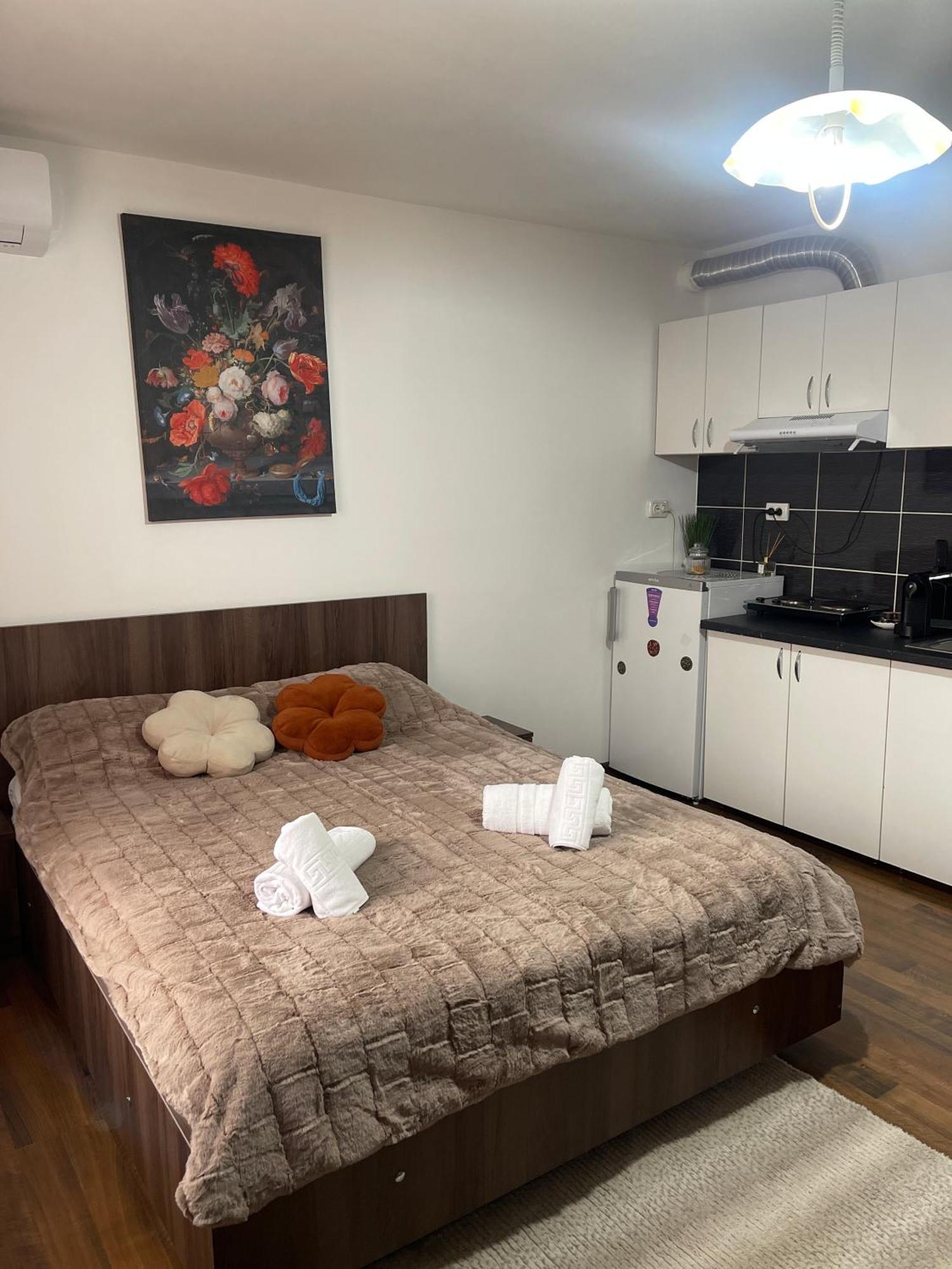 Orange House Apartment Timisoara Ngoại thất bức ảnh